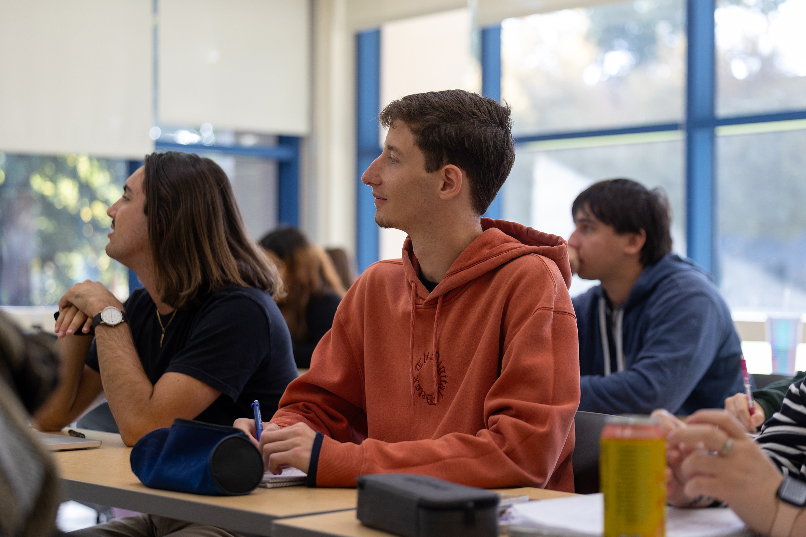 American Multicultural Studies